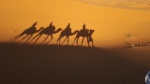 Un paseo por el desierto
marruecos, desierto, camello, sahara, merzouga