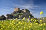 LA PRIMAVERA ACECHA - Olvera, Cadiz