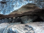 Lagarto en Chichen Itza