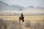 Un pastor en Altai