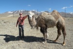 Un camello en Altai
Altai, camello