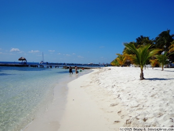 Isla Mujeres y Isla Contoy
El Parque Nacional Isla Contoy es el más importante refugio de aves marinas del Caribe Mexicano. Con una infinidad de especies sin identificar y rodeada de hermosos corales.
Un día perfecto para los amantes del mar y la naturaleza.
