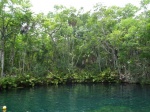 Cenote abierto
Cenotes ríos Riviera Maya