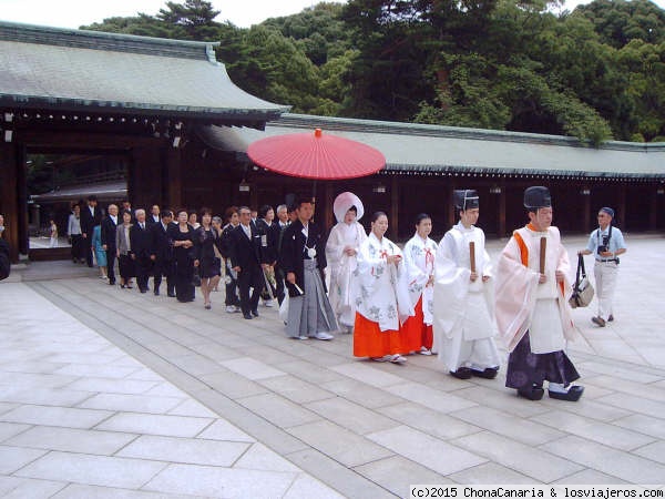 Boda en el Santuario Meiji
Estuvimos presentes en este Santuario a la hora en que llegaron los novios

