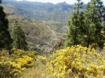 Ruta Degollada de las Palomas - Artenara