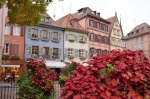 colmar