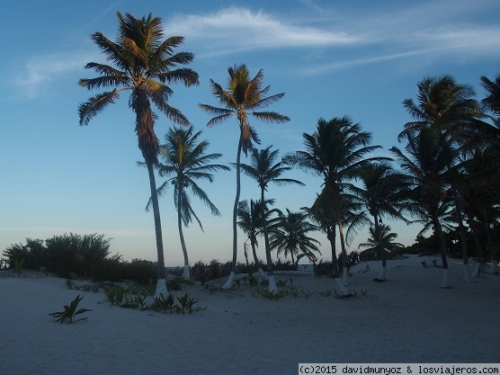 SIAN KA'AN
La foto fue tomada en una playa de  la reserva de Sian Ka'an
