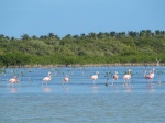 Laguna Oviedo