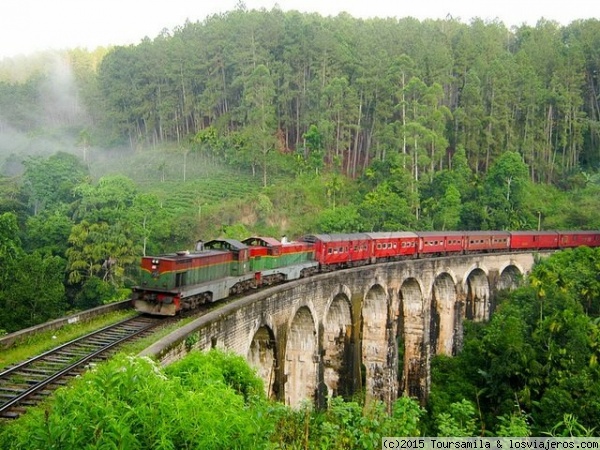 Sri Lankan Rail
This is the nine arch bridge in Ella. One of the beautiful seen of hill country by train.
