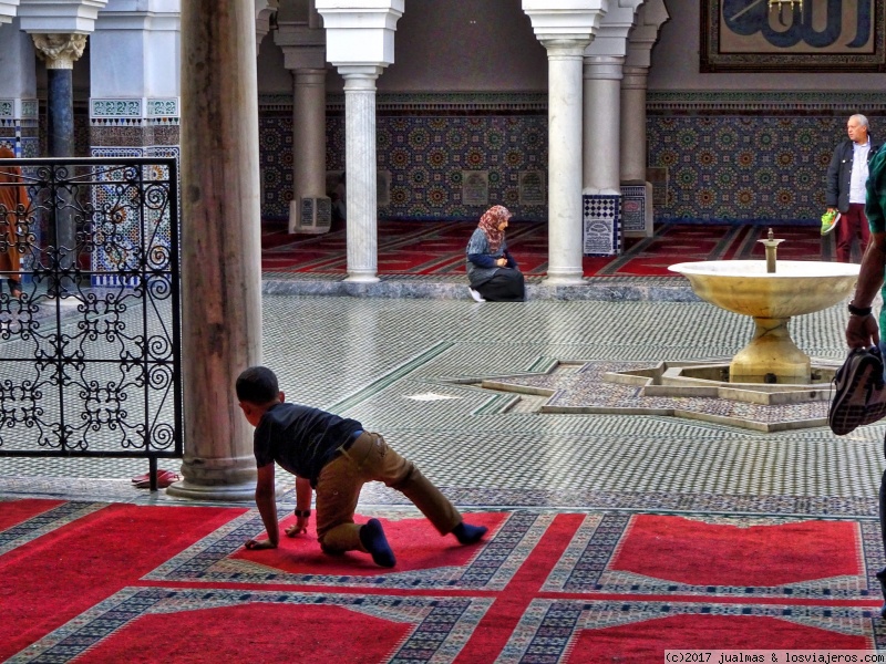 Fez: descubriendo su medina El Bali - 1 semana en Marruecos solo Fez, Chefchaouen y Rabat (1)