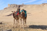 Camellos frente al Templo de los Nobles
Camellos, Aswan