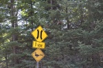 Avisos de fauna en la carretera
Avisos, Canadá, fauna, carretera, muchas, señales, curiosas, carreteras