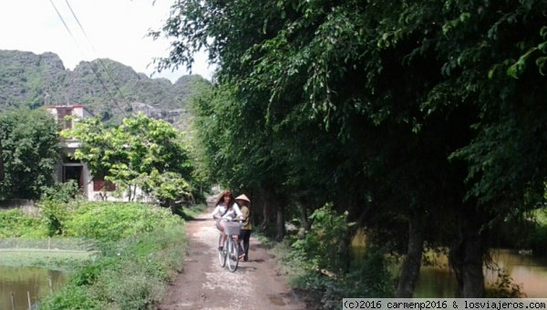 paseos en bici
Campos de Ninh Binh
