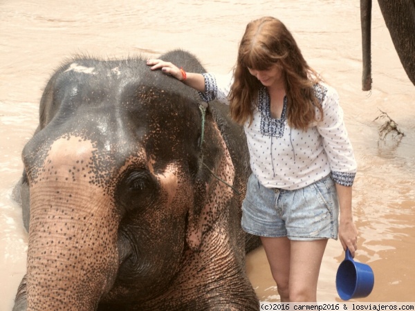 Elefante al agua
Reserva de acogida de elefantes
