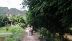 paseos en bici
Campos, Ninh, Binh, paseos, bici