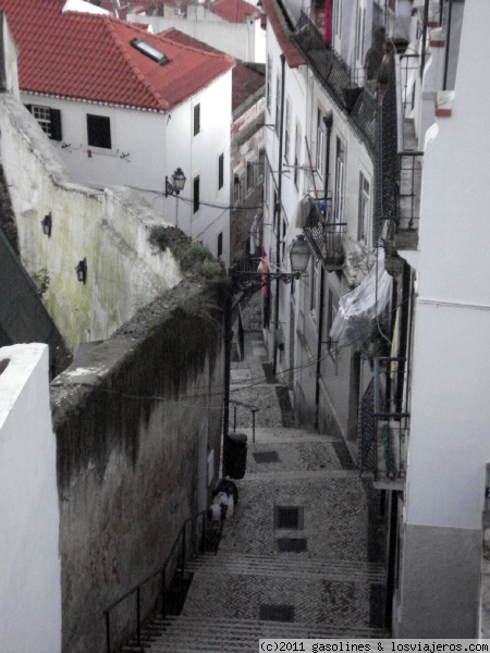 Calle de Alfama en Lisboa
Una de las calles que recorren el barrio de Alfama
