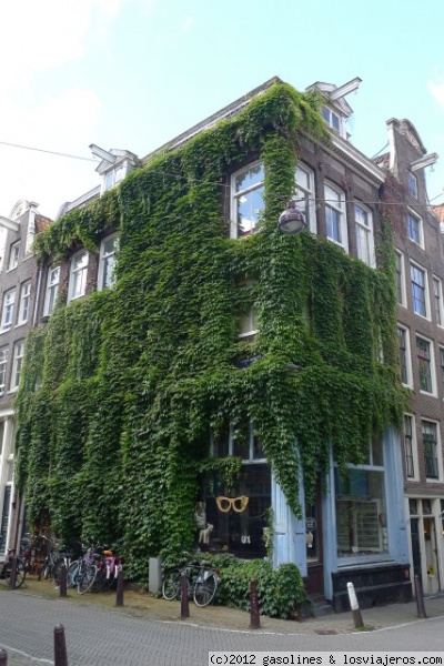 Una casa de Amsterdam
Una de las curiosas casas que hay en el tranquiolo barrio de Jordaan
