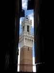 Ir a Foto: La torre del Palazzo Pubblico de Siena