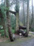 El Arbol del jardín del Palacio da Pena de Sintra