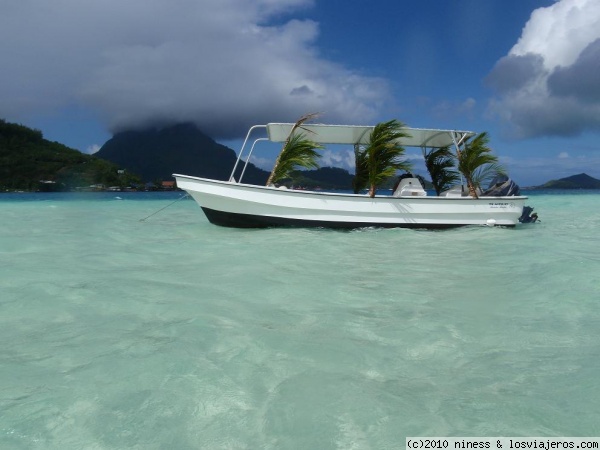 Paseo en barca por la laguna Bora Bora
Bora Bora. Polinesia
