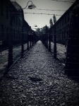 Auschwitz