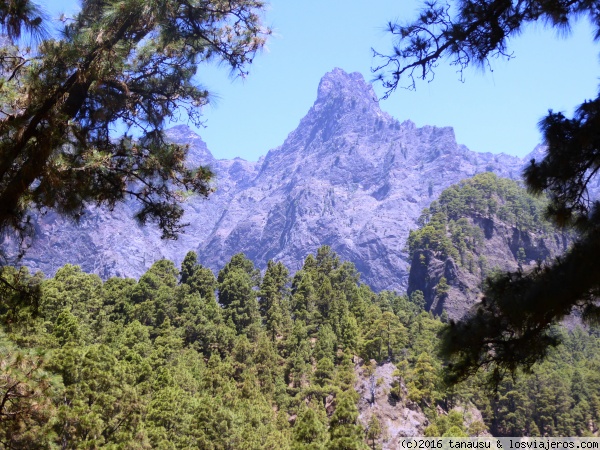 Bejenado, La Palma
Vista del Bejenado (1800m) desde La Caldera de Taburiente
