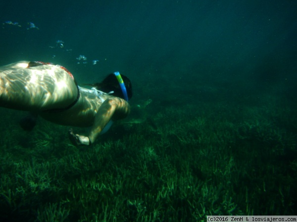 Explorando los fondos marinos de Madagascar
Nadando con una preciosa tortuga en aguas de Nosy Komba, Madagascar.
