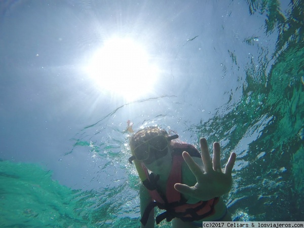 AKUMAL
Viviendo una experiencia inolvidable en plena naturaleza, tortugas marinas, peces..
