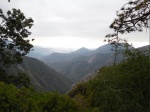 Bajando de Sequoia National Park