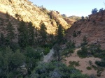 Zion Park atardeciendo