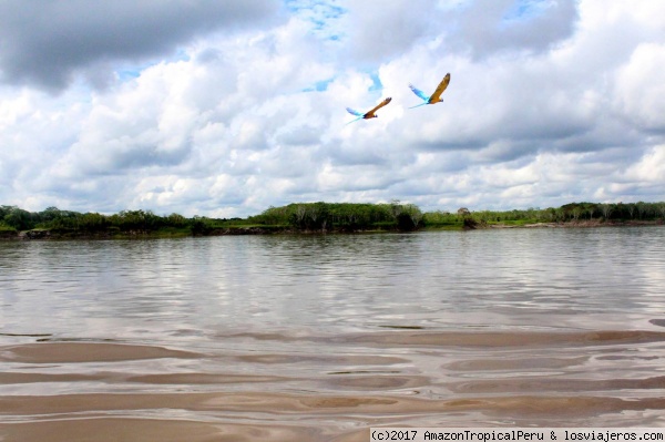 RIO AMAZONAS
Una de las 7 maravillas naturales del mundo el RIO AMAZONAS DEL PERU.
