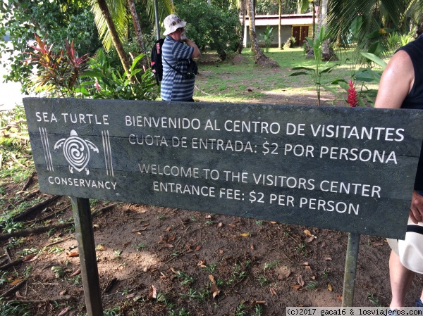 refugio tortugas
refugio tortugas de tortuguero
