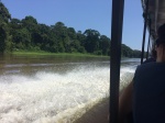 canales tortuguero
canales, tortuguero, viaje, lancha