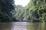 tortuguero