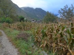 Naxi village
Naxi, Campos, village, maiz