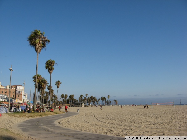 USA_LA_Venice_Beach
Playa de Venice
