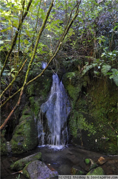 Abel Tasman - Cascada
Foto de una de las varias cascadas que nos encontramos a lo largo de la ruta en Abel Tasman.
