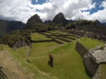 108_Machu_Picchu_View_2