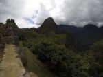 110_Machu_Picchu_Llama_y_vista_Selva