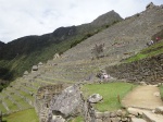 112_Machu_Picchu_Terrazas