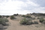 Canarias_Dunas_Maspalomas