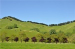 Nueva Zelanda - Paisaje