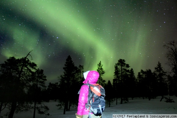 Aurora boreal desde el mirador Santasvaara
Esta foto la sacamos aproximadamente hace 2 semanas en el mirador de Santasvaara
