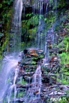 MATAI FALLS-CATLINS