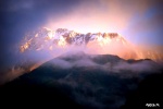 FRANZ JOSEF - Nueva Zelanda
 - New Zealand