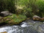 Nacimiento del Río Pitarque