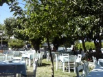 Comida a la sombra en Skopelos