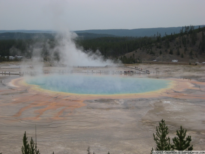 Día 4 YELLOWSTONE. - RUTA DE 24 DIAS POR LOS PARQUES NACIONALES DEL OESTE AMERICANO (5)