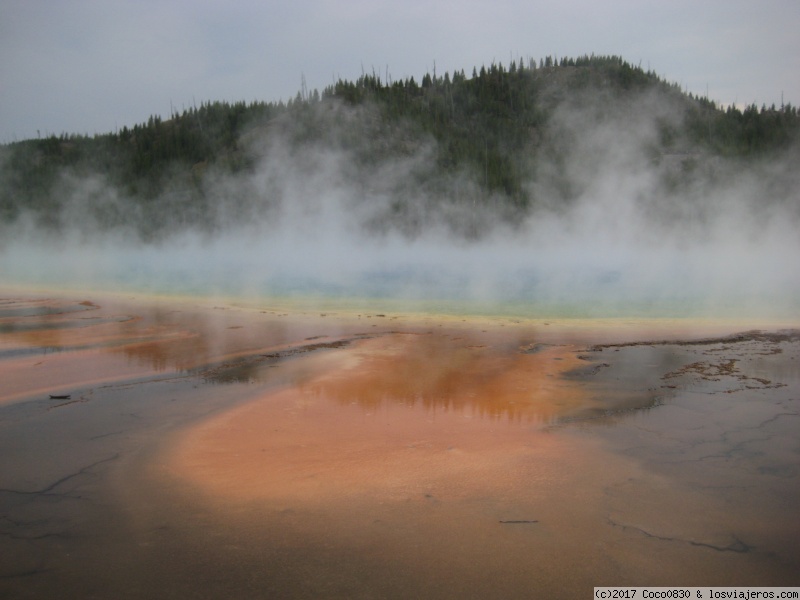 Día 4 YELLOWSTONE. - RUTA DE 24 DIAS POR LOS PARQUES NACIONALES DEL OESTE AMERICANO (6)