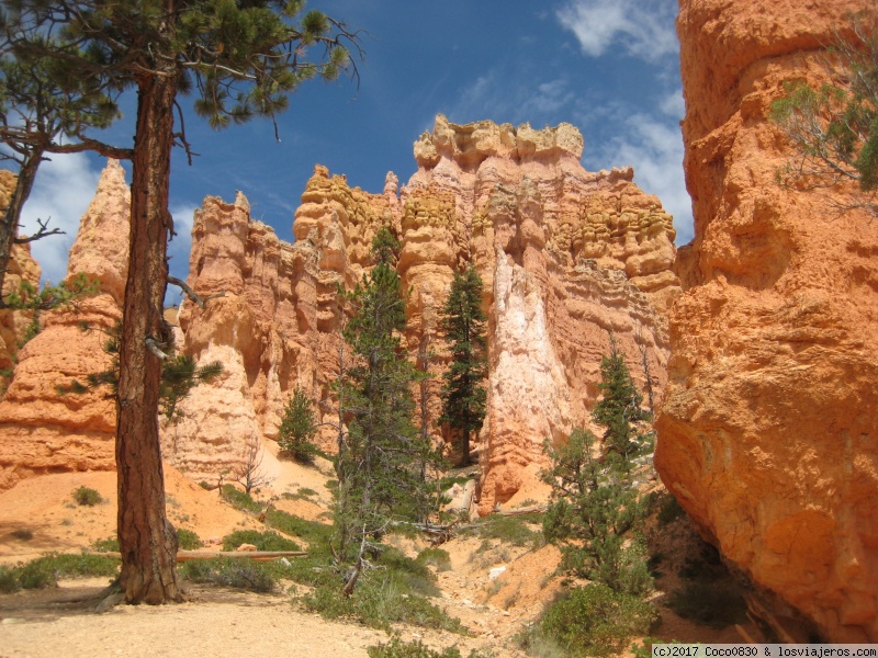 Día 10 BRYCE CANYON Y ZION. - RUTA DE 24 DIAS POR LOS PARQUES NACIONALES DEL OESTE AMERICANO (4)